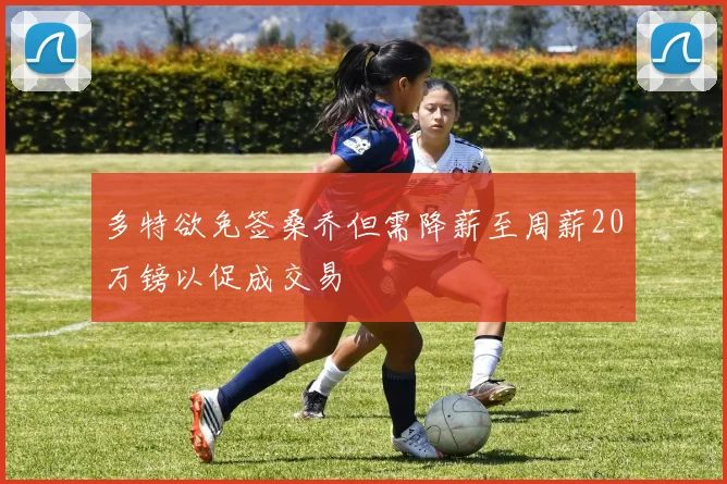 多特欲免签桑乔但需降薪至周薪20万镑以促成交易