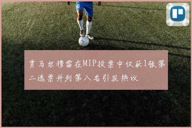 贾马尔穆雷在MIP投票中仅获1张第二选票并列第八名引发热议
