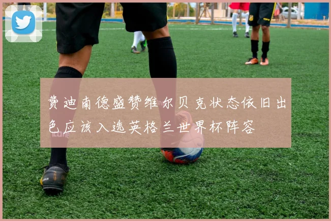 费迪南德盛赞维尔贝克状态依旧出色应该入选英格兰世界杯阵容
